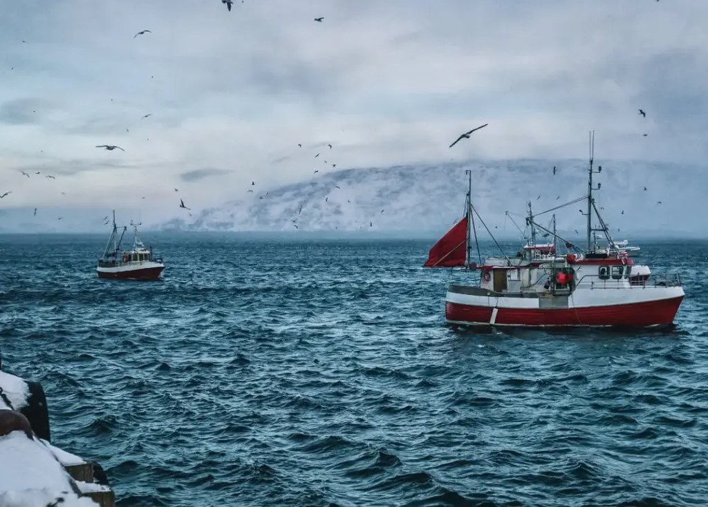 Trawlers at sea